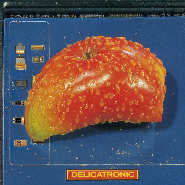 Delicatronic Delicatoni Assistant Engineer,Recording